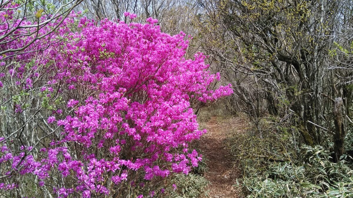 山荘梶ヶ森 photo