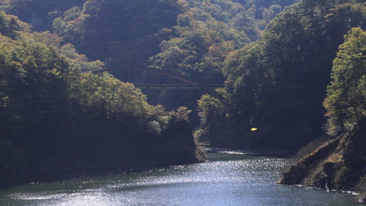 塩原温泉 源美の宿 会津屋 photo