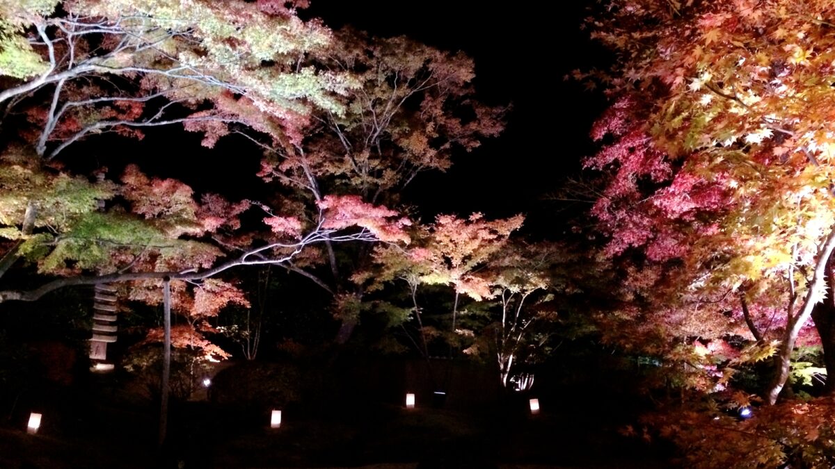 キャッスルイン仙台 photo