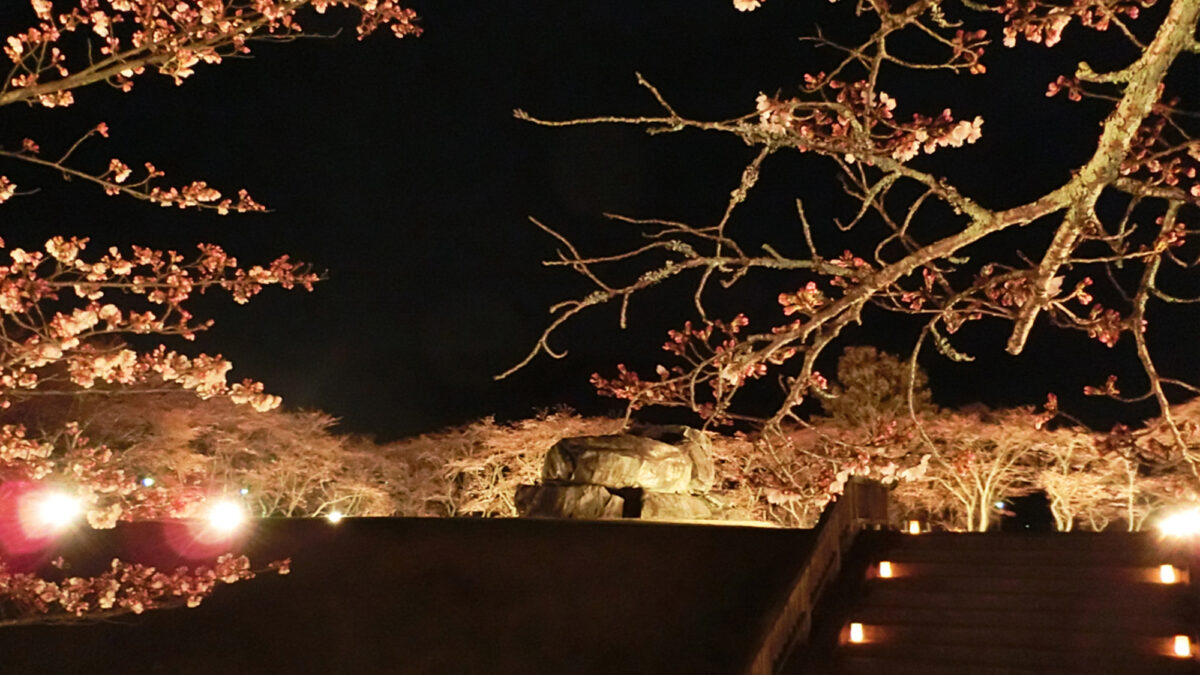 多武峰観光ホテル photo