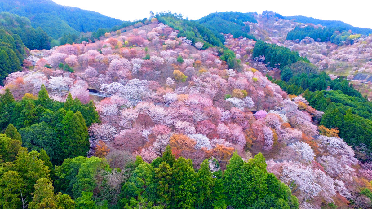 門前宿 和空法隆寺 photo