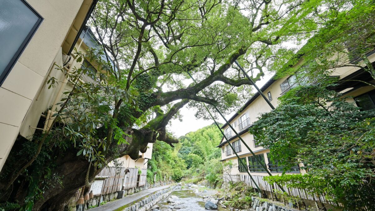 脇田温泉 楠水閣 photo