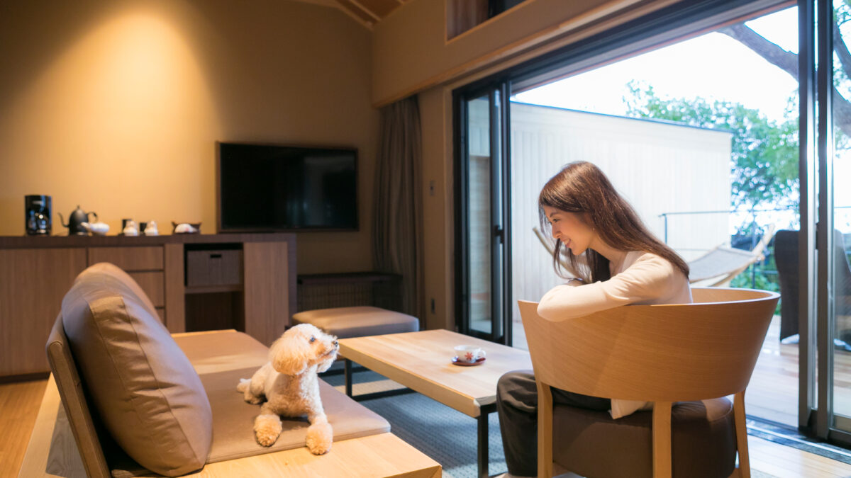 洲本溫泉 海の飯店 島花 / Sumoto Onsen Umi no Hotel Shimahana photo