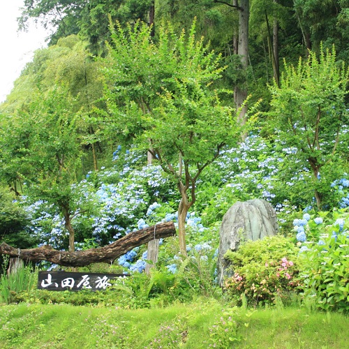 元湯 山田屋旅館 / Motoyu Yamadaya Ryokan photo