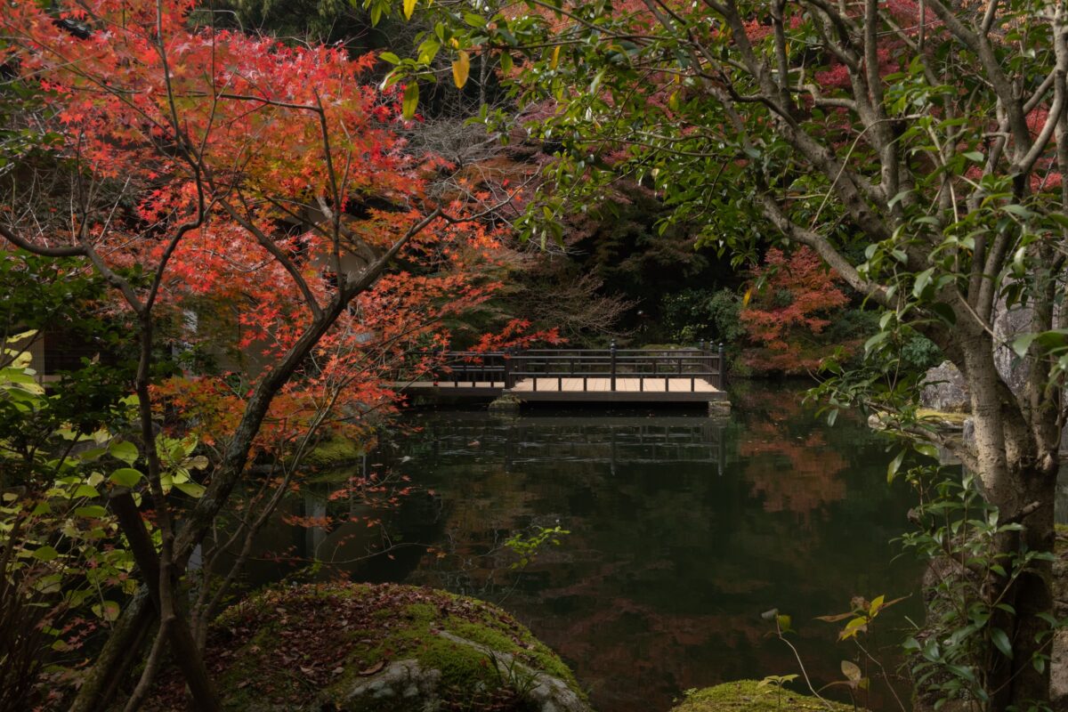 秋月温泉 料亭旅館 清流庵 photo