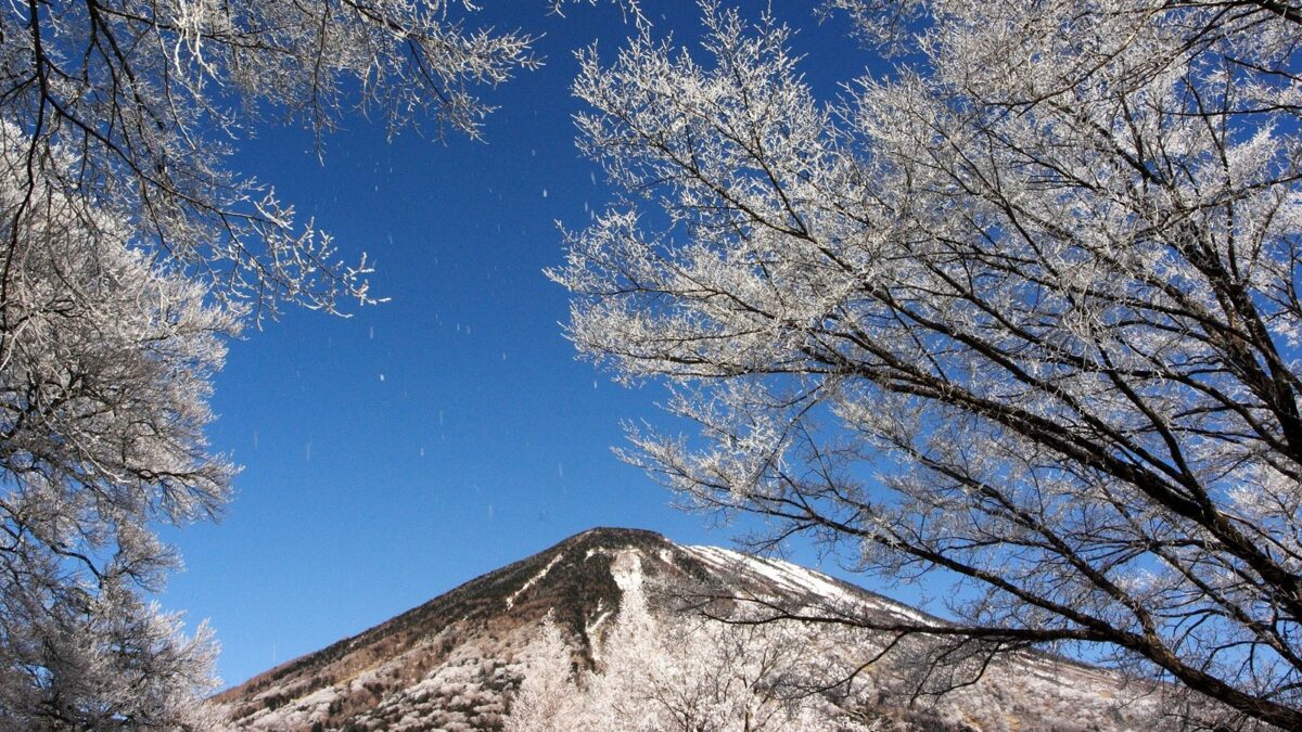 日光中禅寺湖温泉 ホテル花庵 photo