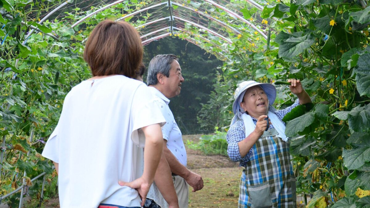 奥州平泉温泉 そば庵 しづか亭 photo