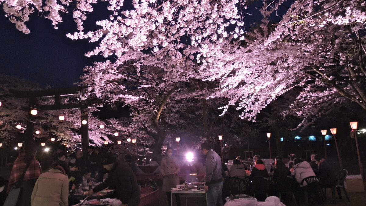鬼怒川温泉 ホテルハーヴェスト鬼怒川 photo