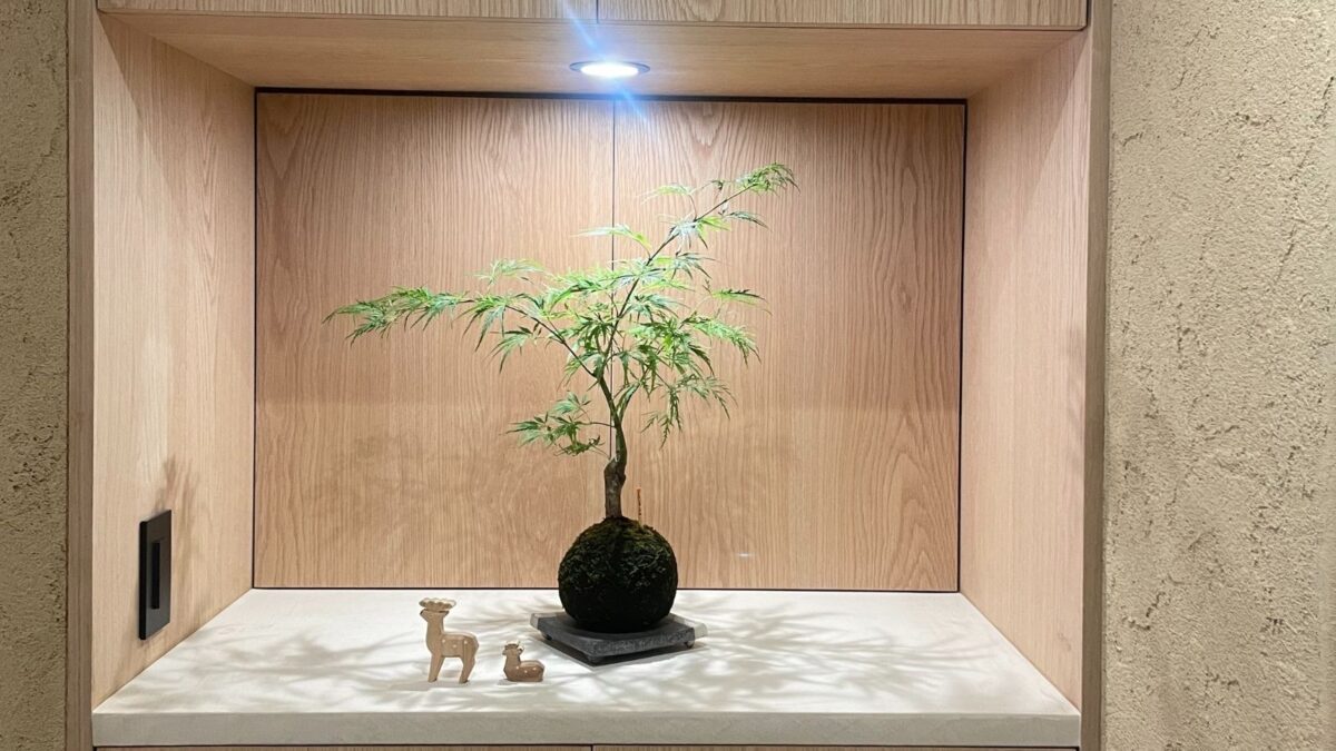 ホテルニューわかさ photo