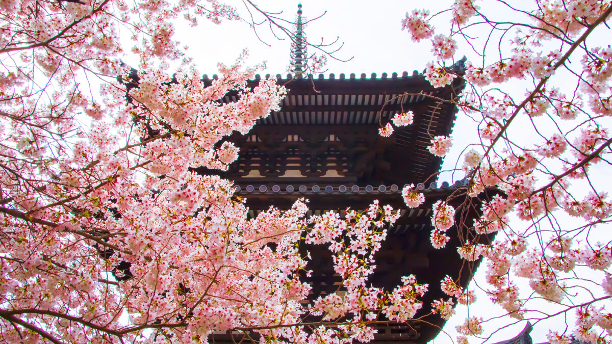 門前宿 和空法隆寺 photo