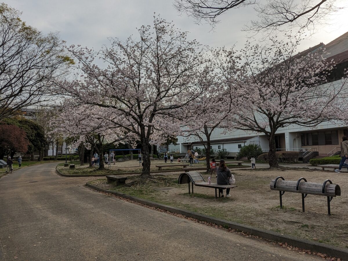 スマイルホテル徳島 photo