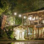 山みず木