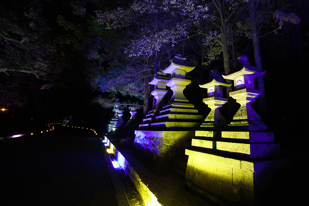 四季亭 photo