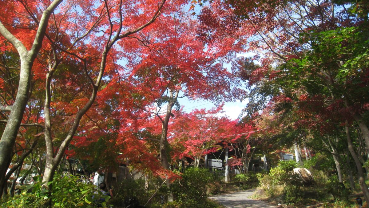 ホテル日航つくば photo