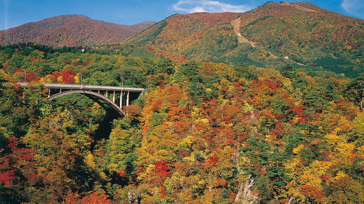飯店ルートイン古川駅前 / Hotel Route Inn Furukawa Ekimae photo