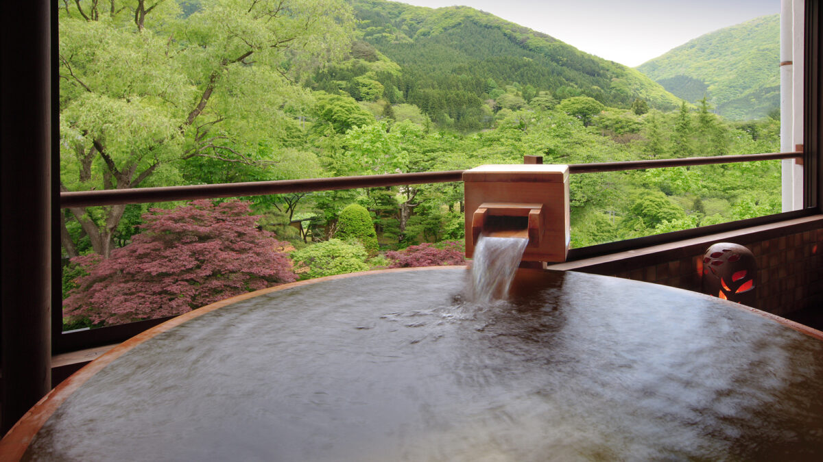瀬見温泉 ゆめみの宿 観松館 photo