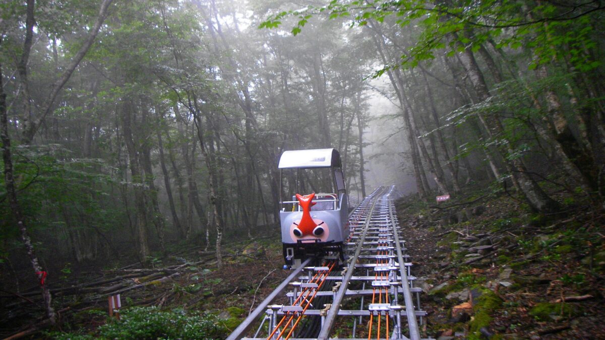 峡谷の湯宿 大歩危峡まんなか photo