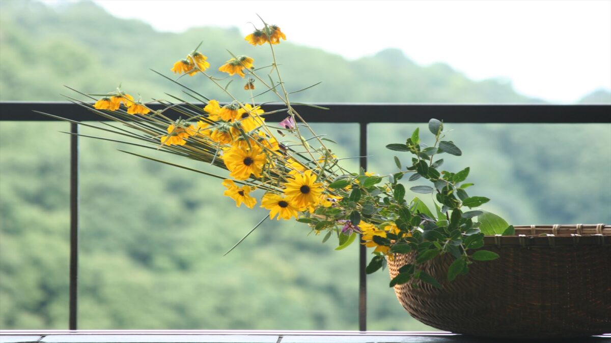 柿本家 photo
