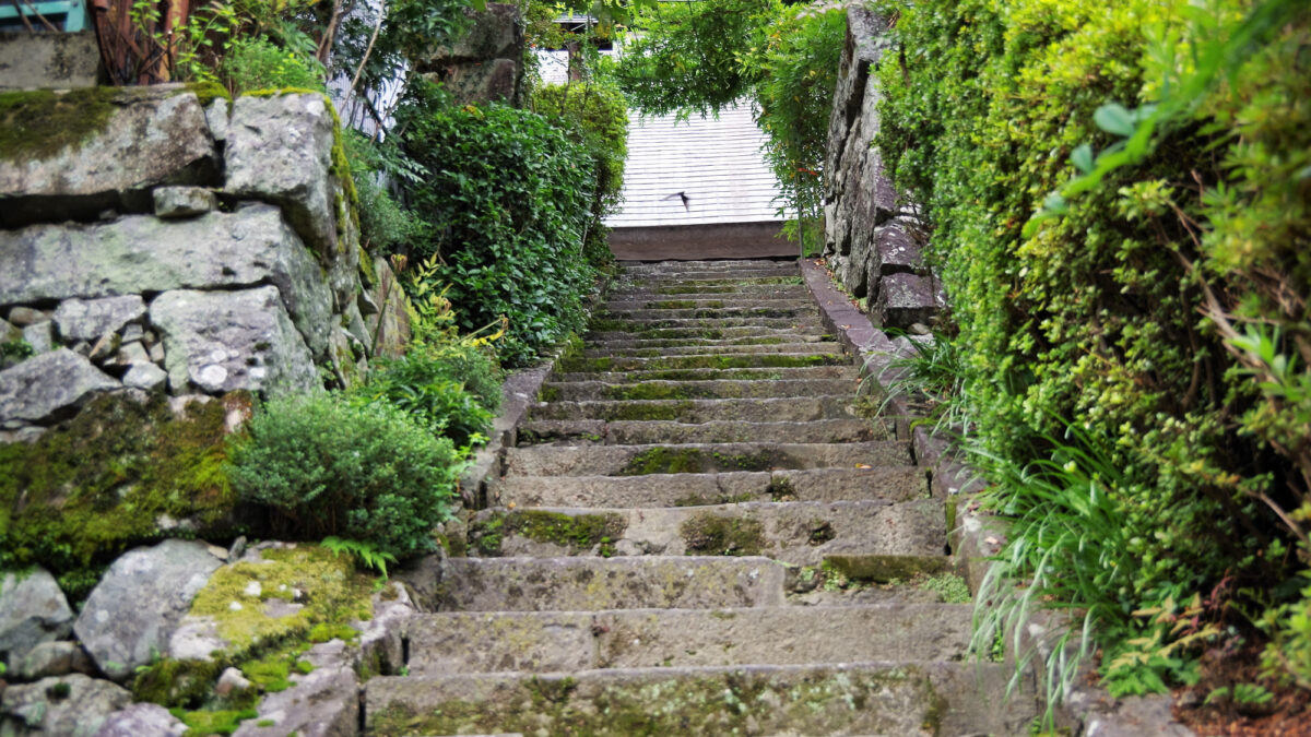 旅館 鶴富屋敷 photo