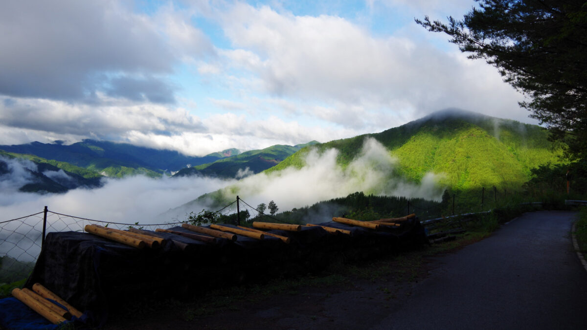 旅館 鶴富屋敷 photo
