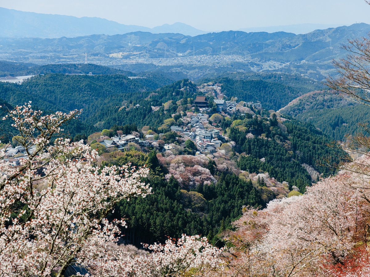 フェアフィールド・バイ・マリオット・奈良天理山の辺の道 photo