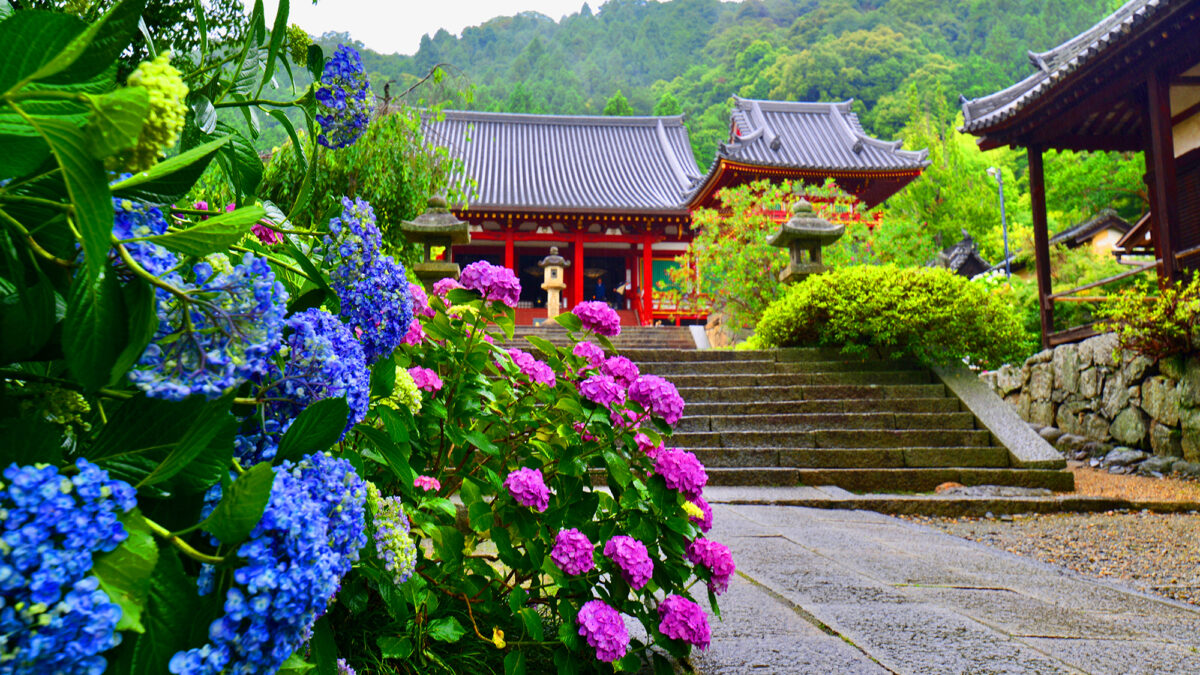 門前宿 和空法隆寺 photo