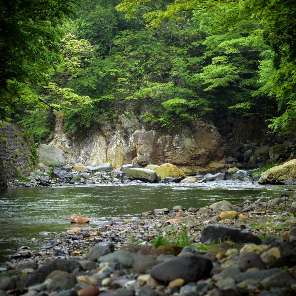 塩原温泉 割烹旅館 湯の花荘 photo