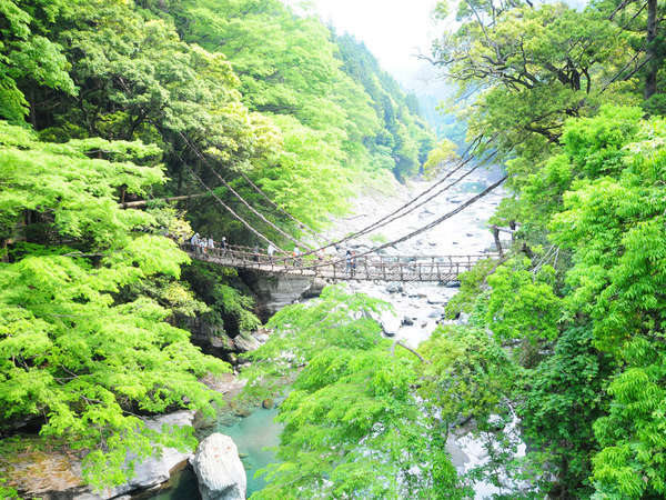 祖谷の宿 かずらや photo
