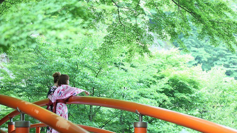 伊香保温泉 いかほ秀水園 photo
