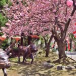 小矢部市サイクリングターミナル