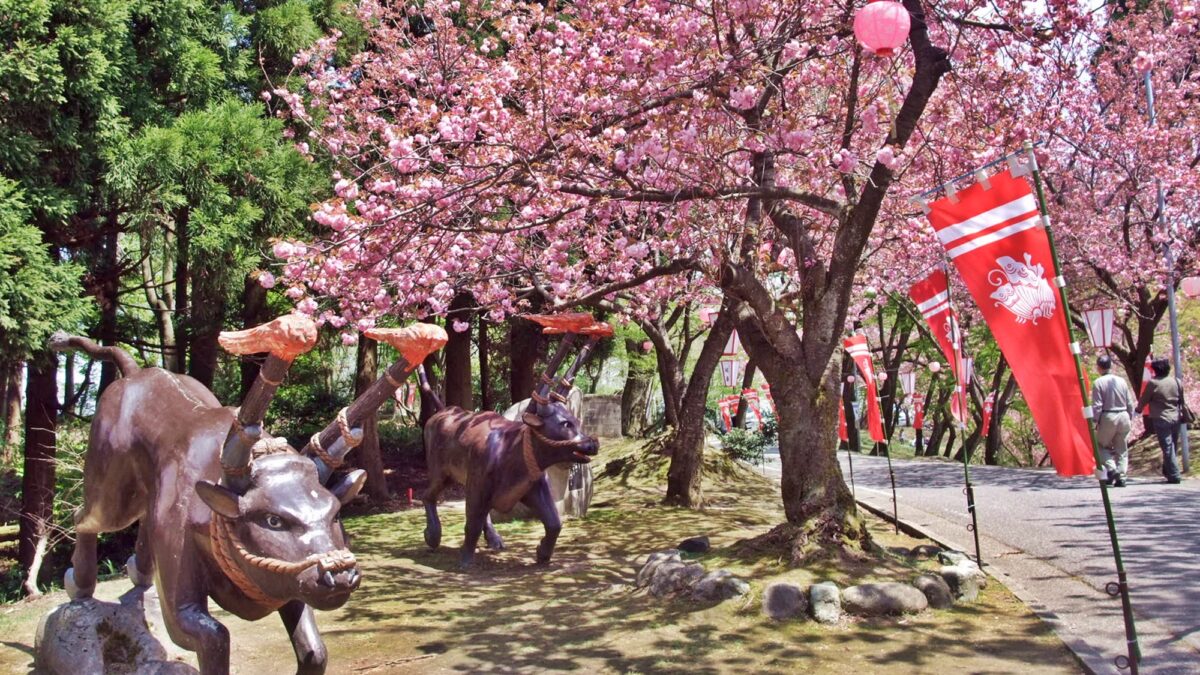 小矢部市サイクリングターミナル photo