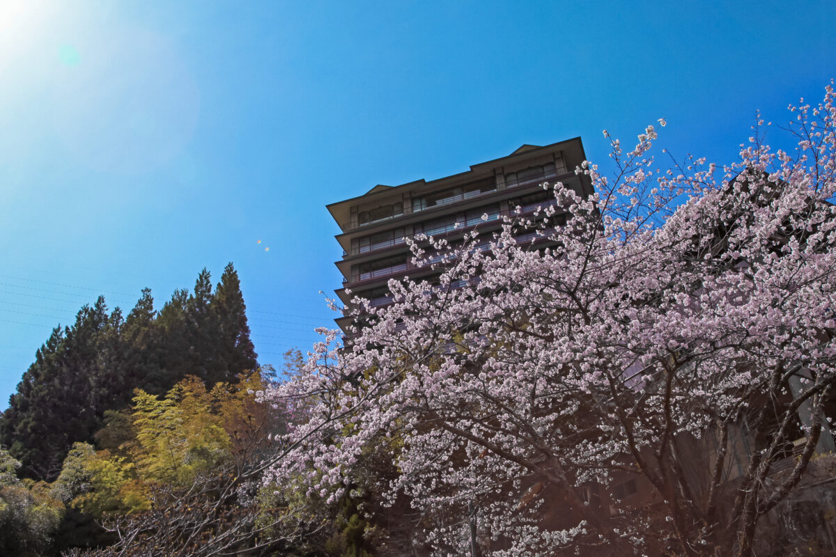 下呂温泉 今宵天空に遊ぶ しょうげつ photo