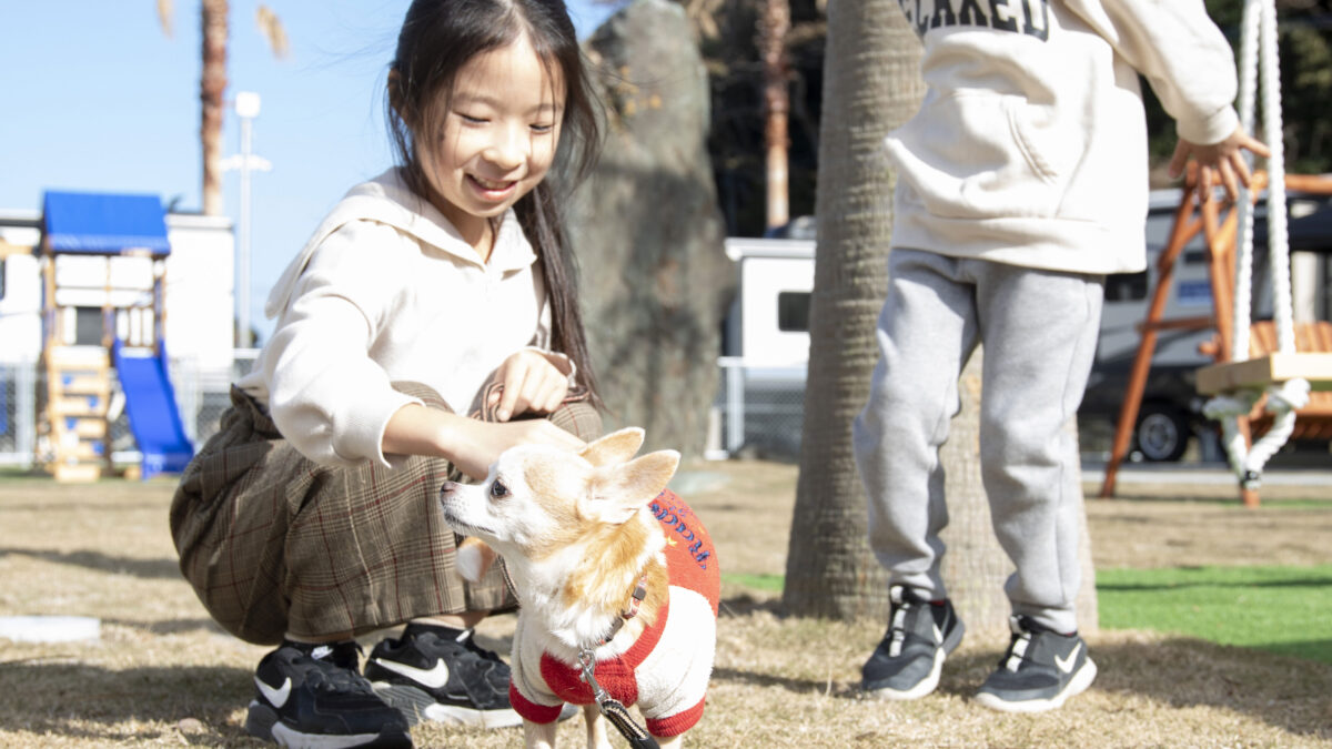 THE TRAILERHOUSE VILLAGE 呼子 SEASIDE photo