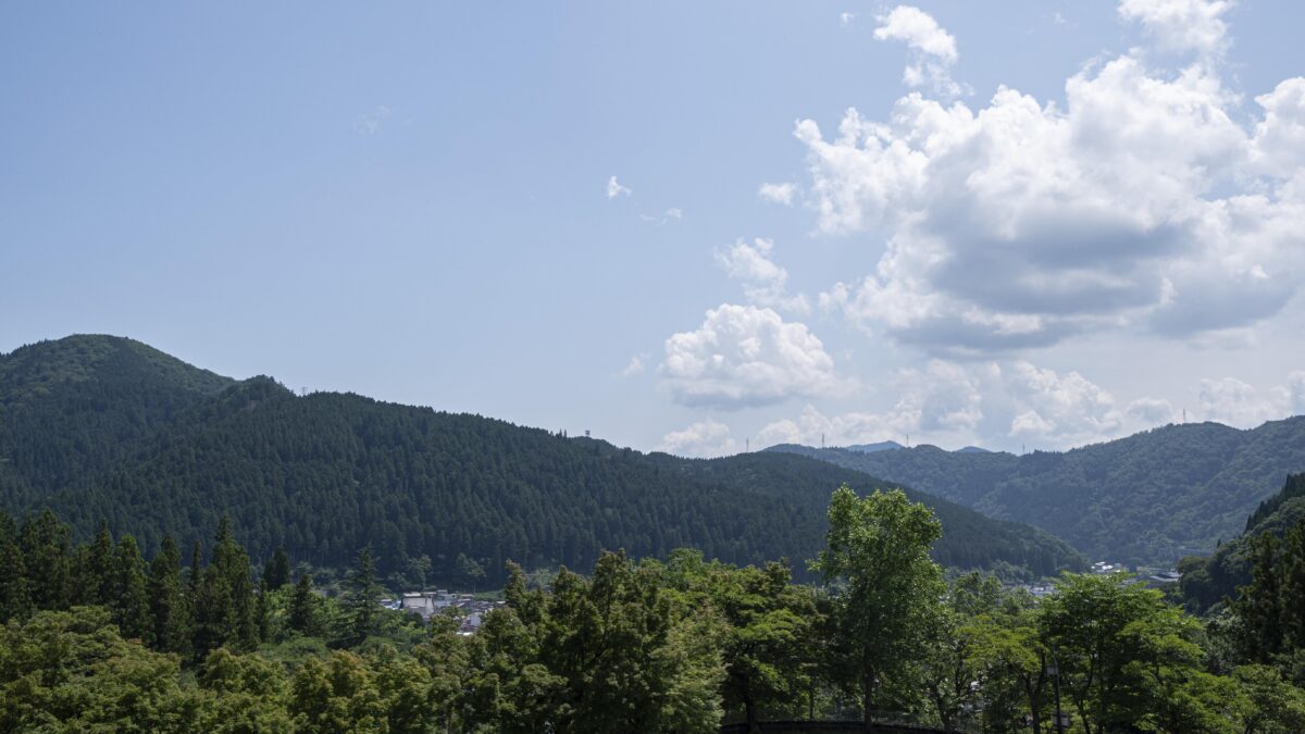 郡上八幡 ホテル積翠園 photo