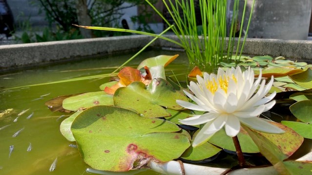 ＰＡＹＳＡＧＥ ＭＯＲＩＧＵＣＨＩ（ペイサージュモリグチ） photo