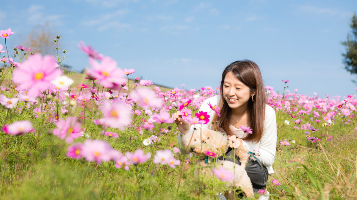 洲本溫泉 海の飯店 島花 / Sumoto Onsen Umi no Hotel Shimahana photo
