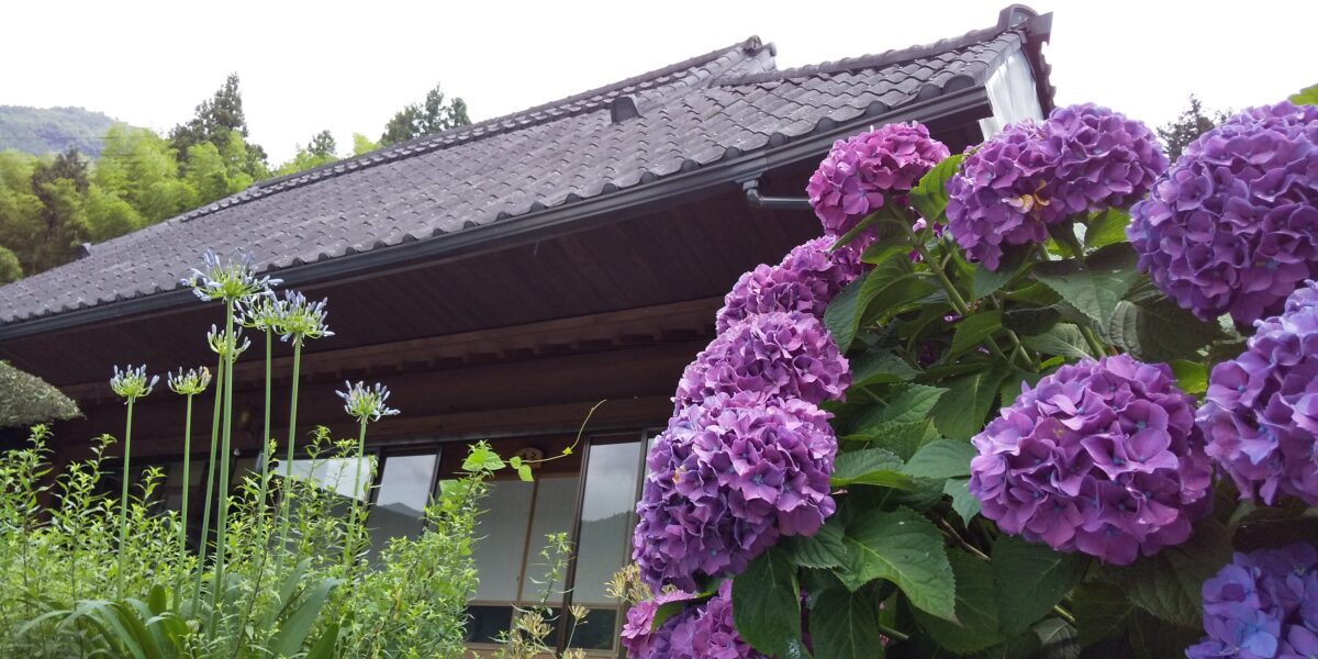 祖谷の宿 かずらや photo