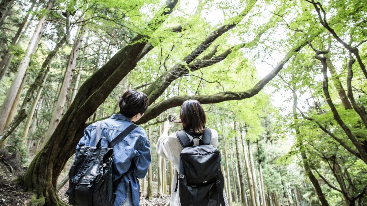 ＡＮＤＯ ＨＯＴＥＬ 奈良若草山（ＤＬＩＧＨＴ ＬＩＦＥ ＆ ＨＯＴＥＬＳ） photo