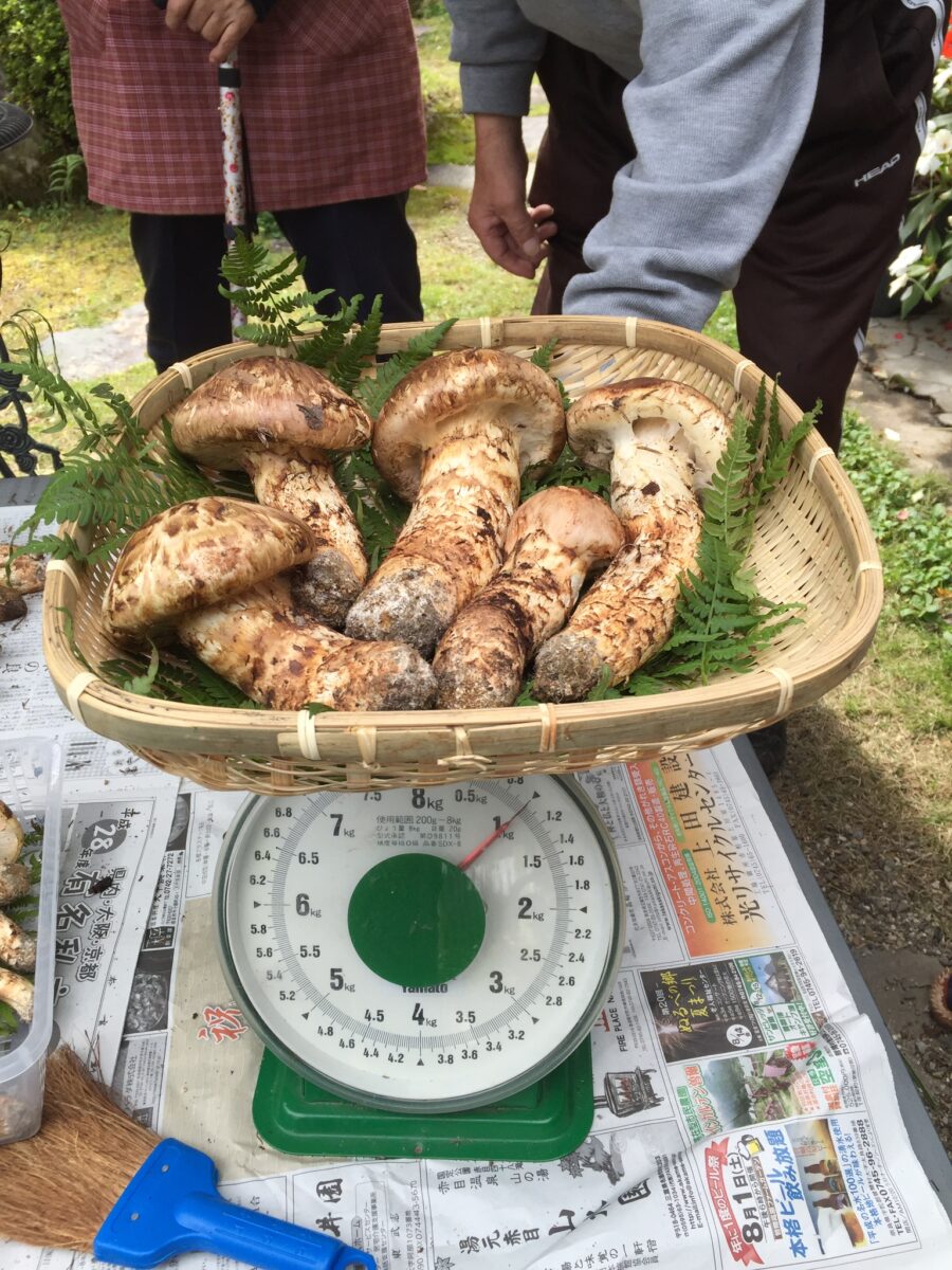 民宿かわらび荘 photo