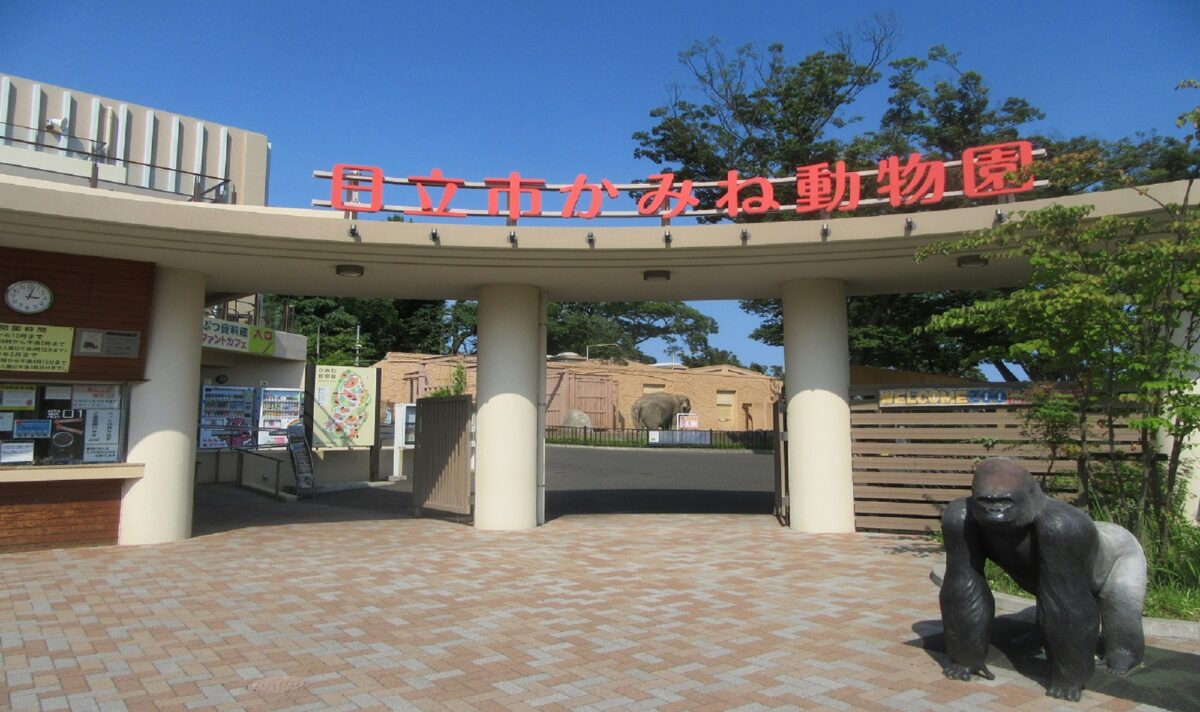 ホテルルートイン日立多賀 photo