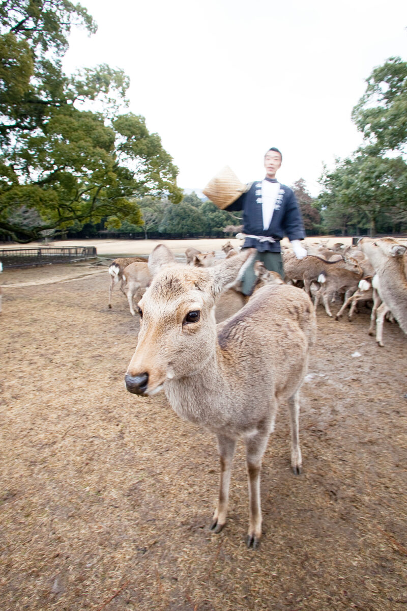 四季亭 photo