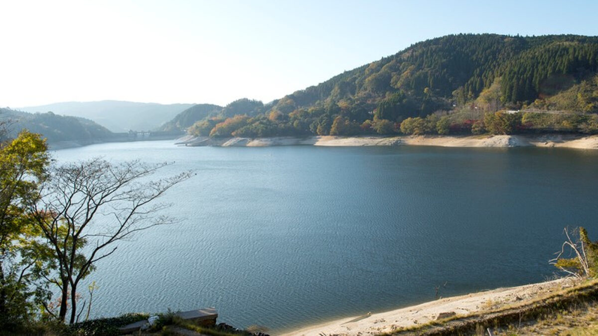 グリーンリッチホテル 鳥栖駅前 photo