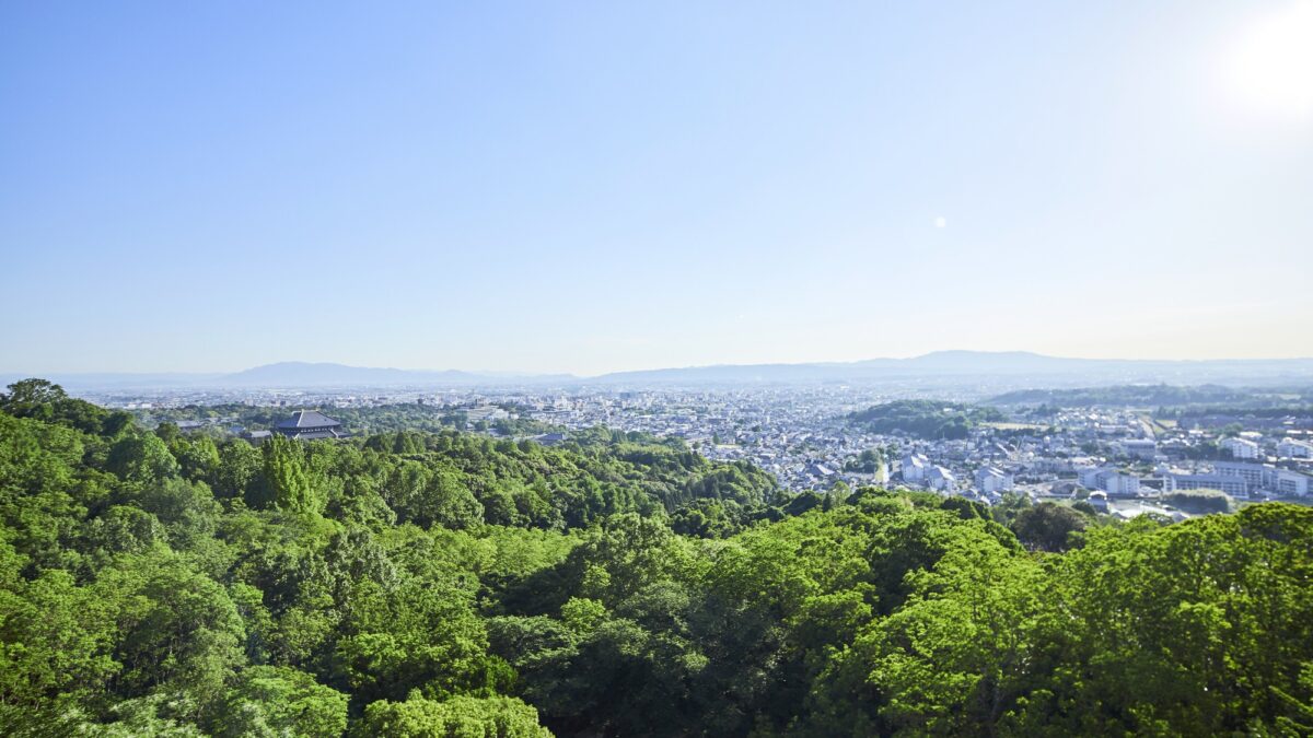 ＡＮＤＯ ＨＯＴＥＬ 奈良若草山（ＤＬＩＧＨＴ ＬＩＦＥ ＆ ＨＯＴＥＬＳ） photo