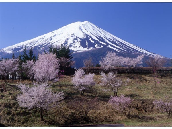 河口湖温泉 山岸旅館 photo
