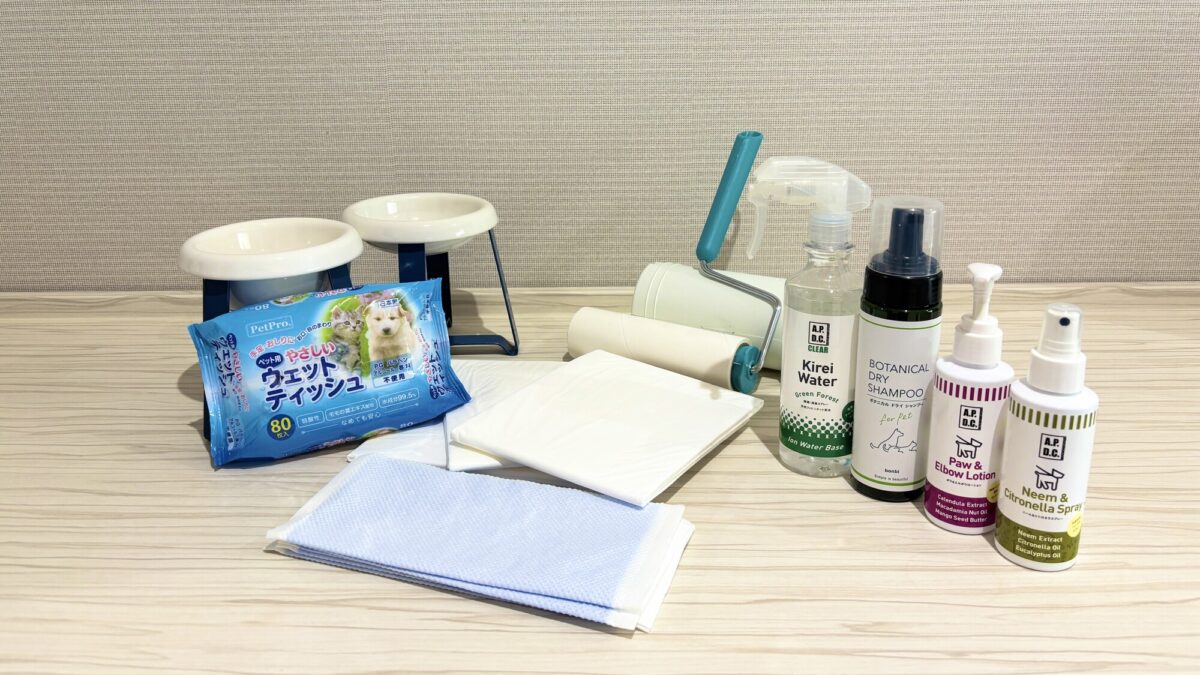 わんわんパラダイス プレミア 伊豆高原 photo