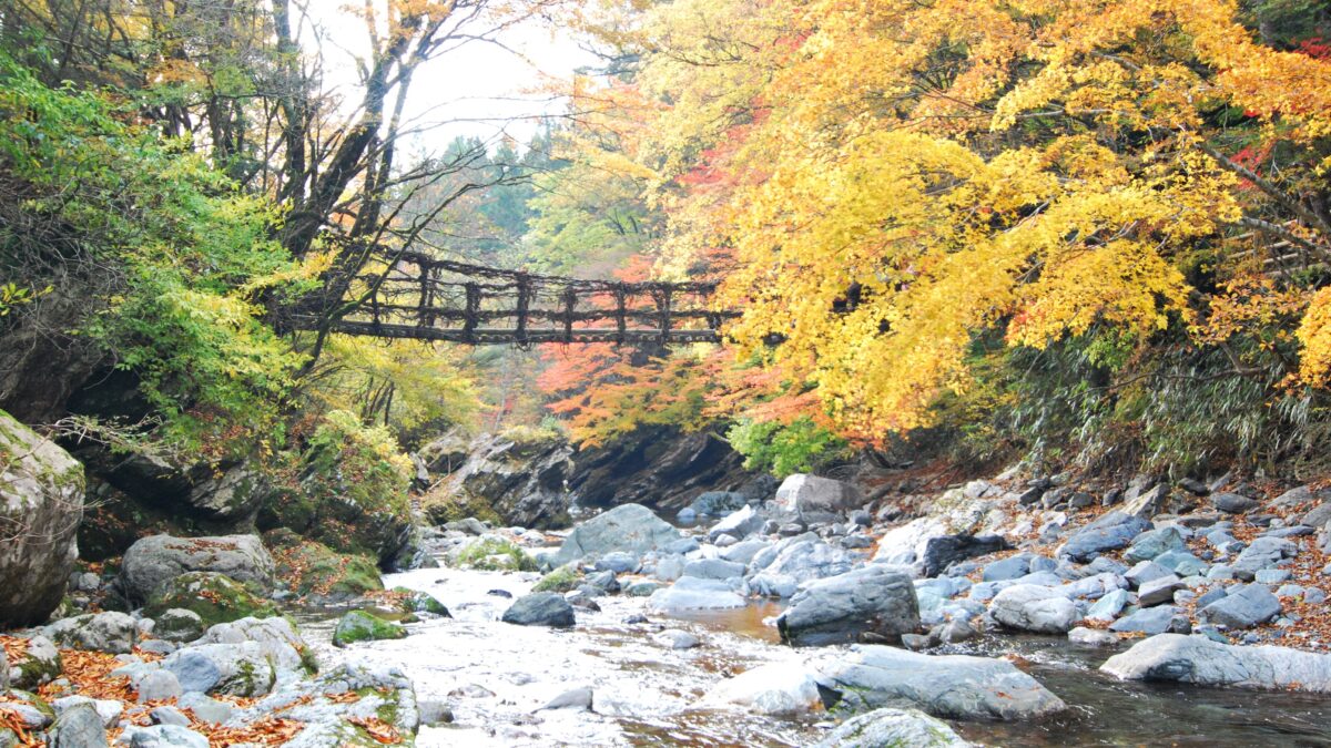 新祖谷温泉 ホテルかずら橋 photo