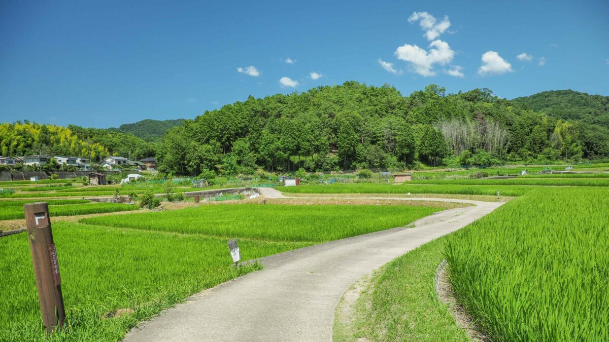 NIPPONIA 田原本 マルト醤油 photo