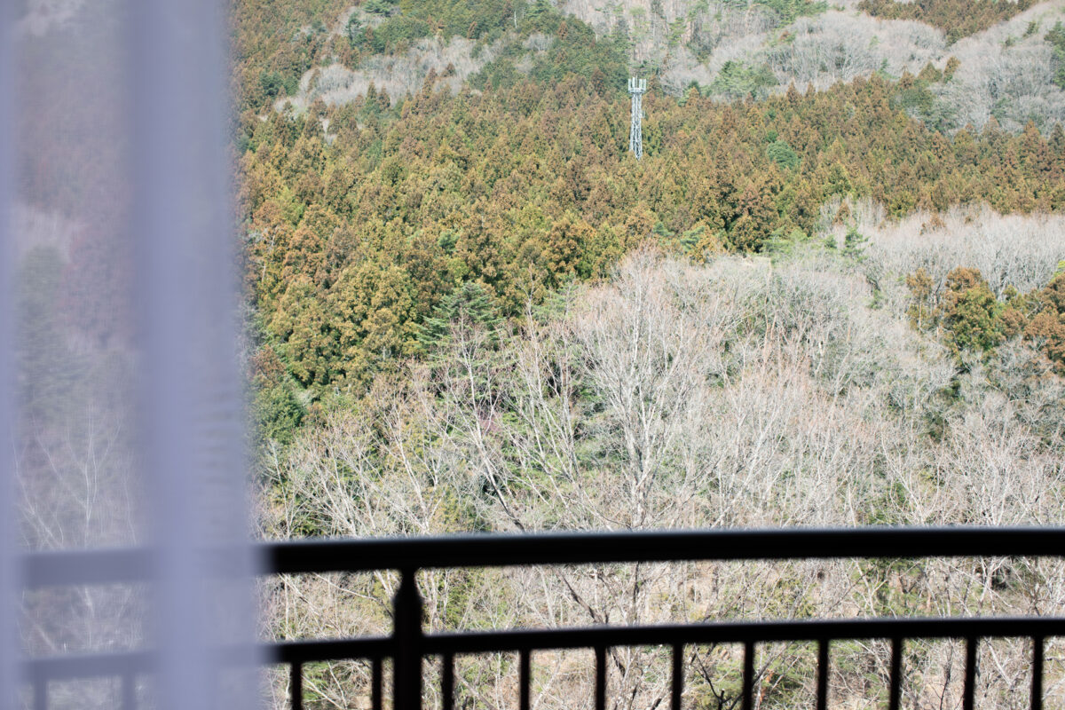 鬼怒川温泉 ホテルハーヴェスト鬼怒川 photo