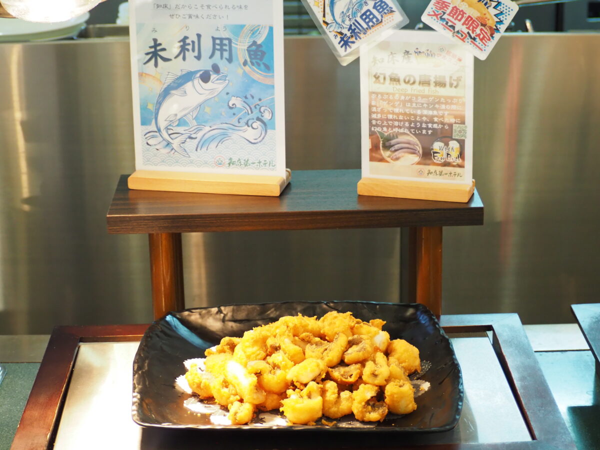 ウトロ温泉 知床第一ホテル photo