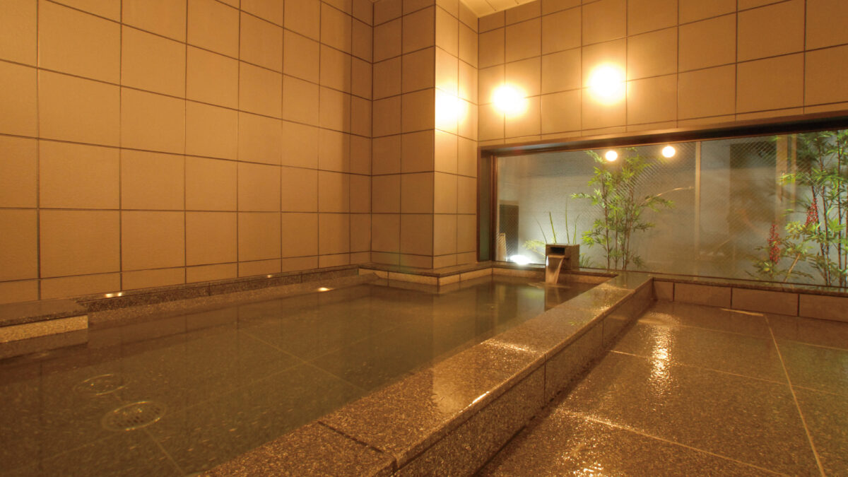 ＡＢホテル三河豊田 photo